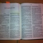 Foto: Thomas Schneider