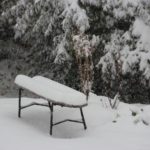 Foto: Thomas Schneider